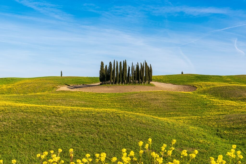 Rolling hills and cypress trees in Tuscany, Italy